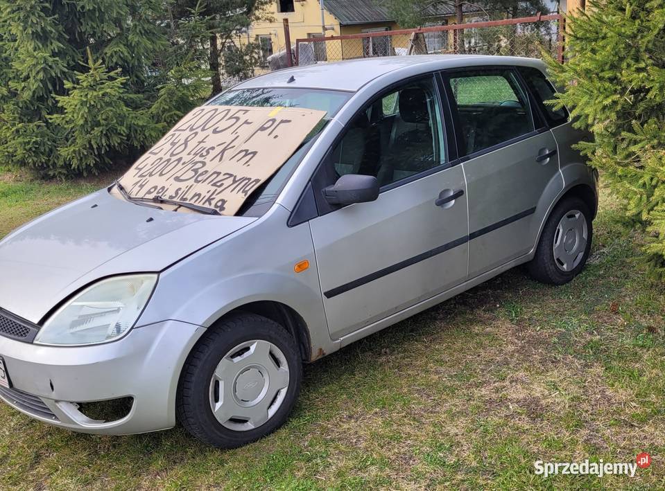 ford fiesta