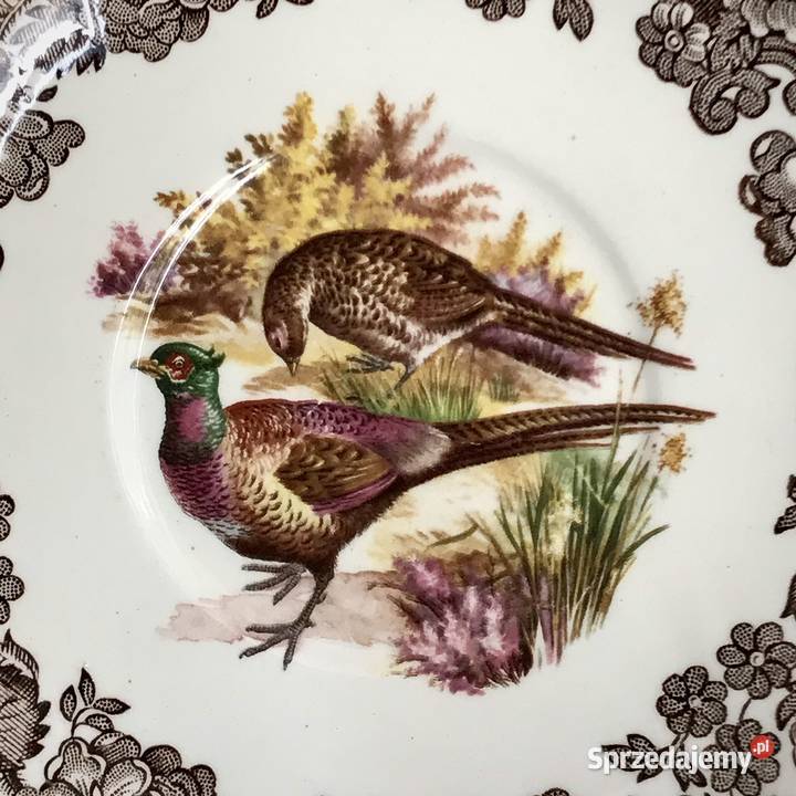 Filiżanka Royal Worcester Palissy porcelana Myszków