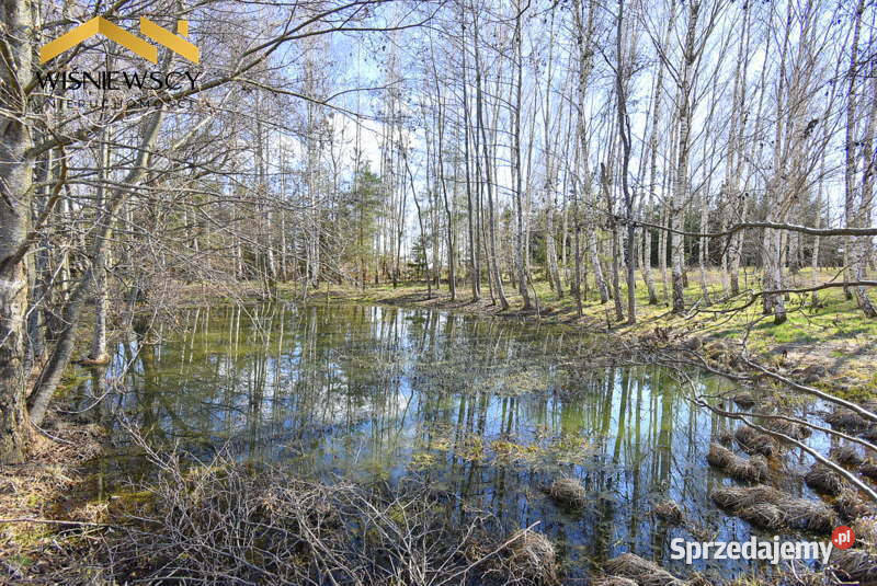 Działka pod zabudowę zagrodową granicy Miasta Nowa Wieś Mała sprzedam