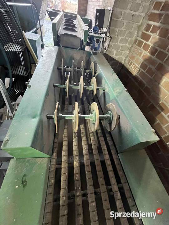 sortownik do ogórków z podajnikiem taśmowym Sortowniki Dratów