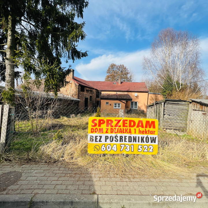 Siedlisko 1 ha w Rokitnie Pełne media las Rokitno