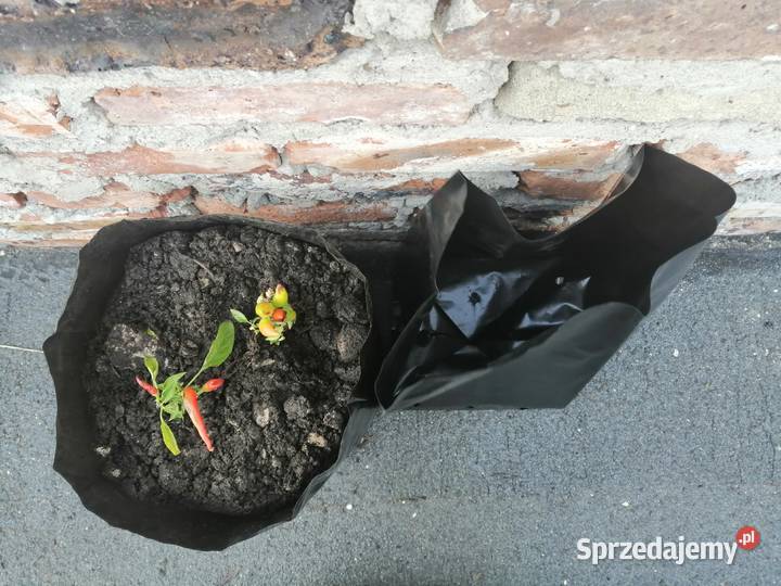 Doniczki foliowe 12L produkcyjne PRODUCENT Siewierz