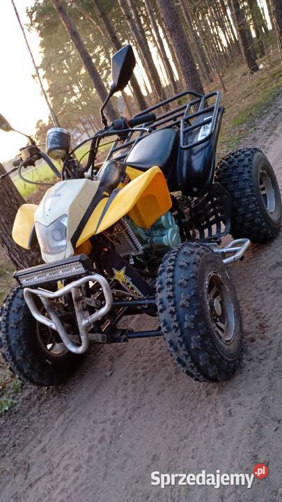 quad Bashan 250