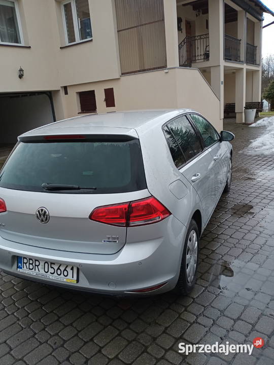 SRZEDAM VW 7 golf Blizianka