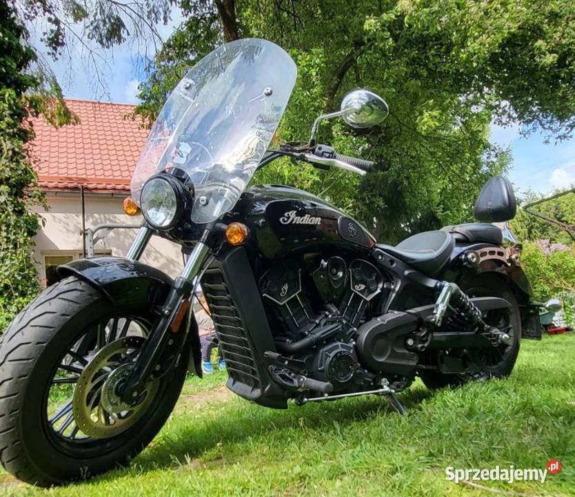 Indian scout Bolesławiec