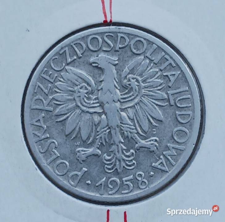 5 złotych Rybak 1958 r 5 Skrętka wielkopolskie Konin