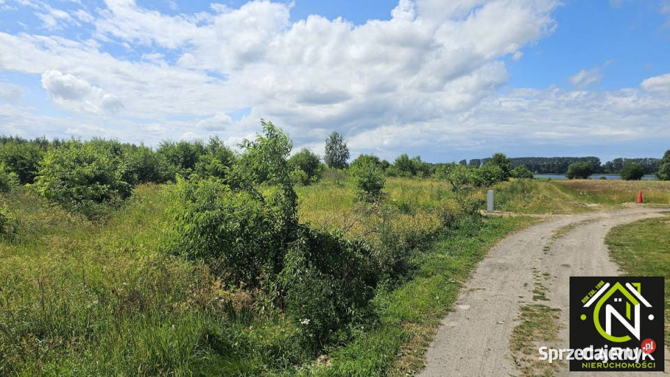 Działka 9800m2 Laska telefon