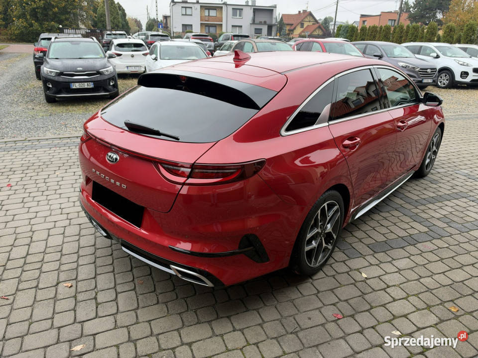Kia Pro Ceed 14 TGDi 140 GT Line Shooting Brake Kia Orzech