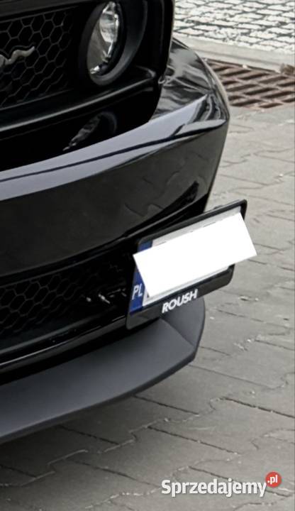 Uchwyt rejestracji Mustang Poznań sprzedam