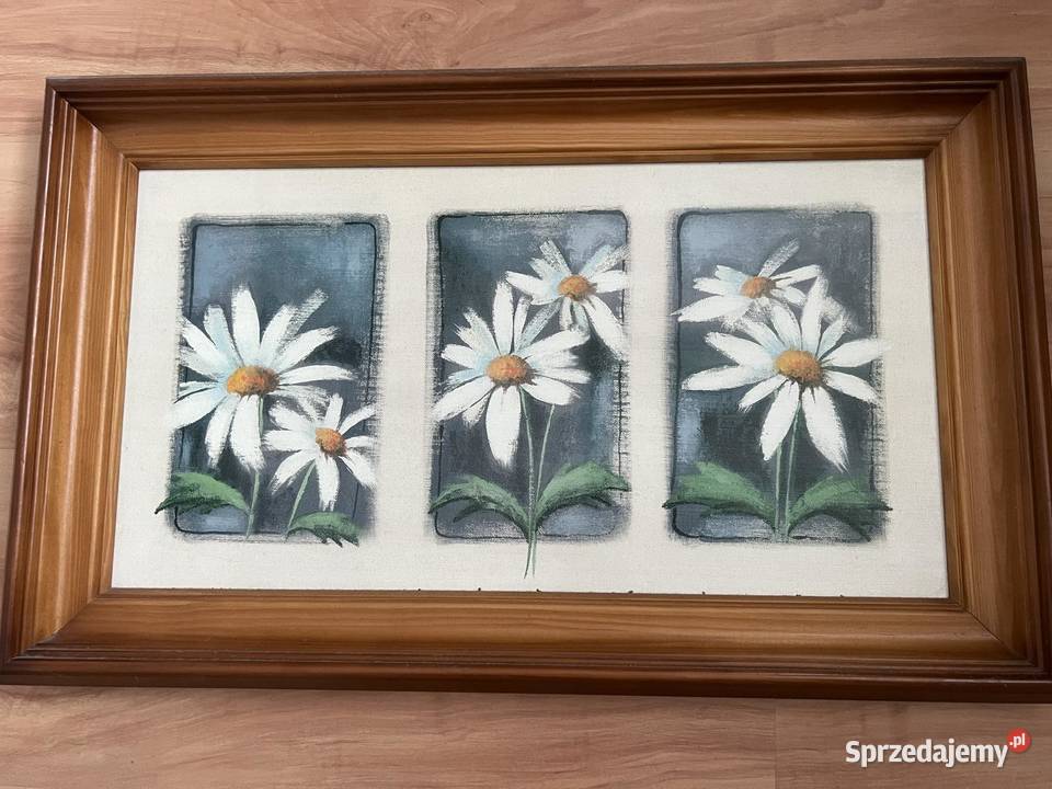 Obraz ze stokrotkami w drewnianej ramce podkarpackie