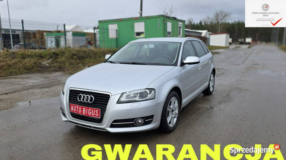 Audi A3 Led Xenon Climatronic zarejestrowane Hatchback Lębork sprzedam