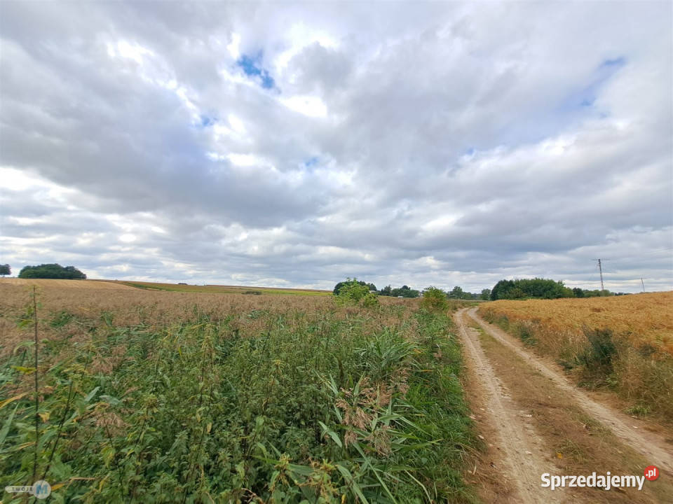 sprzedaży domu 57m2 Ożarów sprzedam