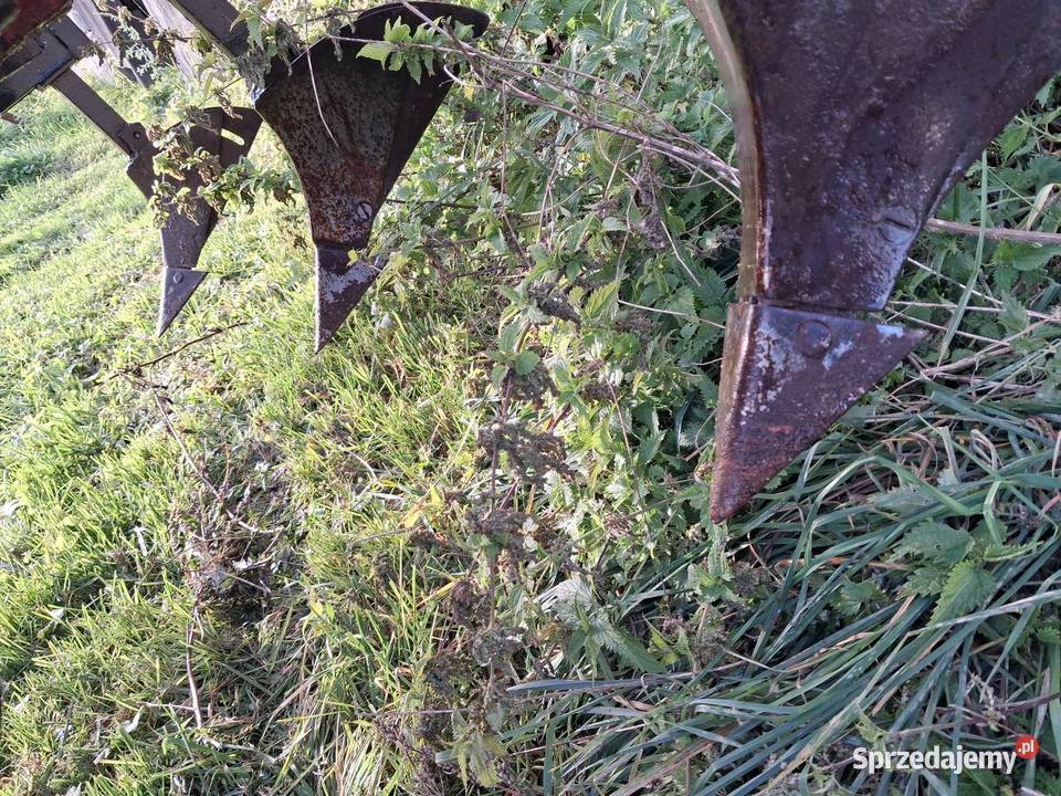 Sadzarka kubelkowa Biedaszki Puńsk