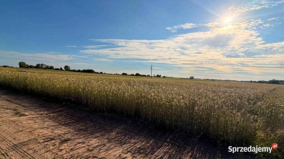 DZIAŁKA PIOTROWICE 79 ARÓW MPZP
