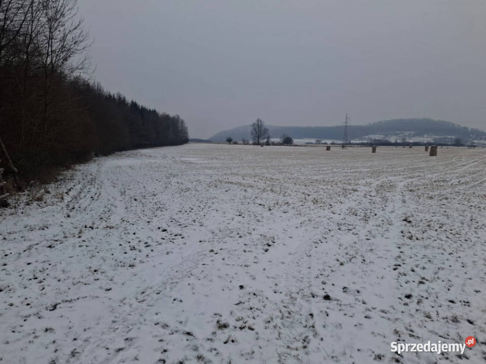 16 ha ziemi Gorzanów