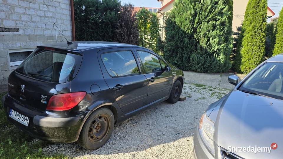 Peugeot 307 do negocjacji 2000cm3 Mikołajowice