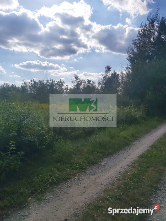 DO SPRZEDAŻY DZIAŁKA W WOLI ZARCZYCKIEJ Z WZ podkarpackie Wola Zarczycka