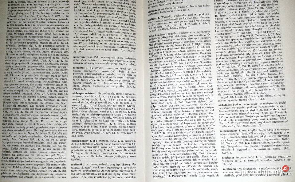 Słownik frazeologiczny języka polskiego Tom 12 twarda Chełm