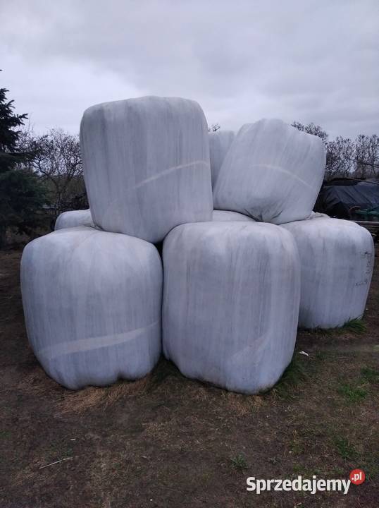 Sprzedam sianokiszonkę mazowieckie Przeradz Wielki