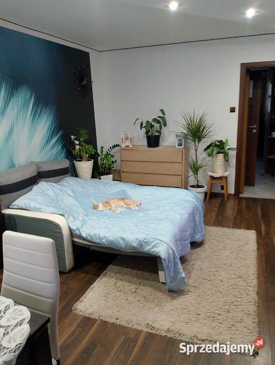 Wynajmę 3 pokojowe mieszkanie