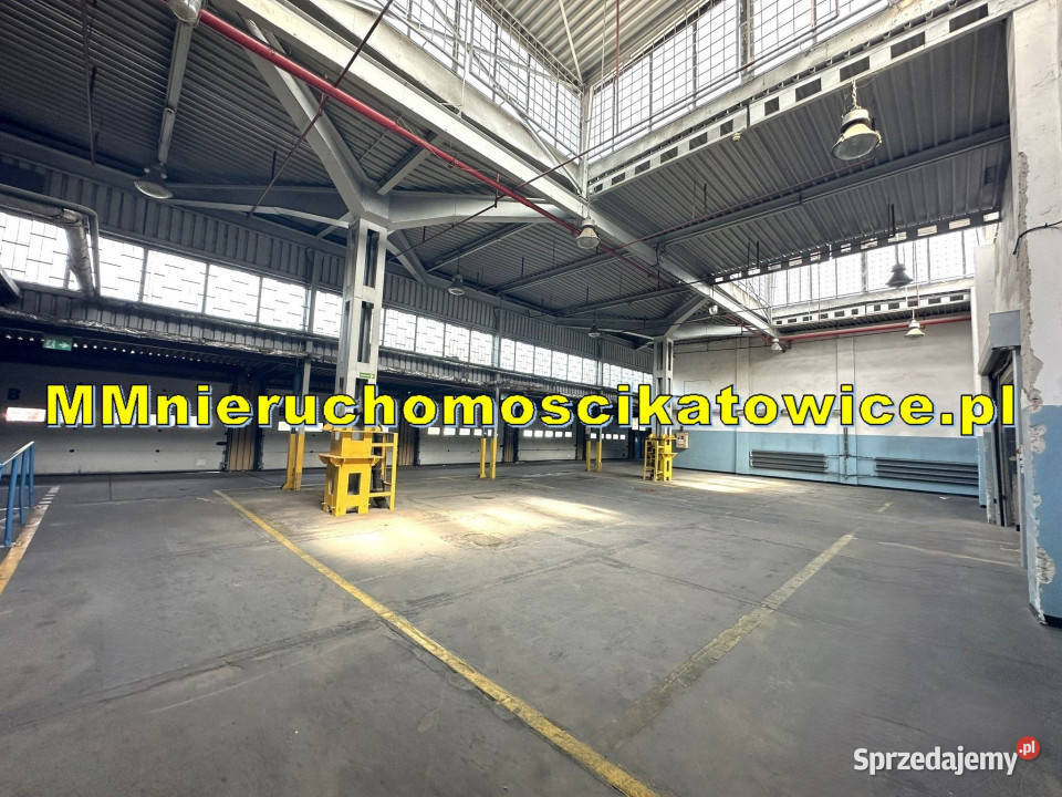 Magazyny do wynajęcia Sosnowiec do 4000 m2 rampy Wynajem
