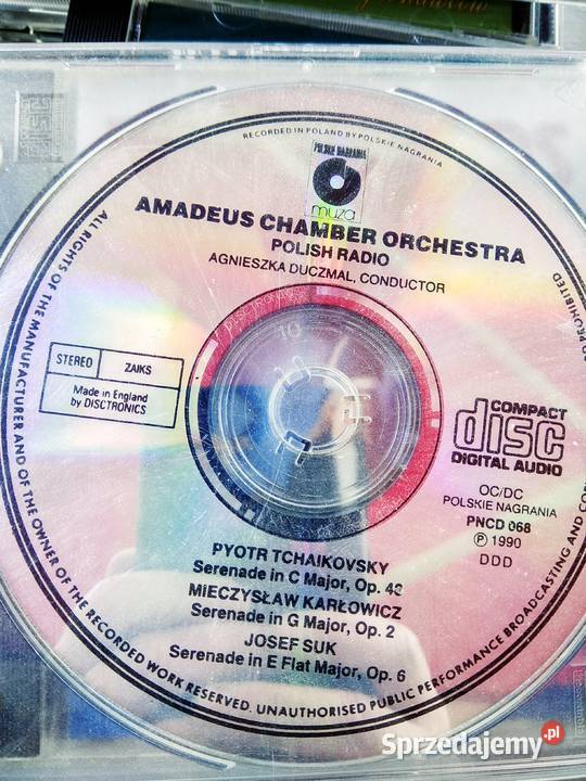 Amadeus ChAmber Orchestra Czajkowski rosyjscy