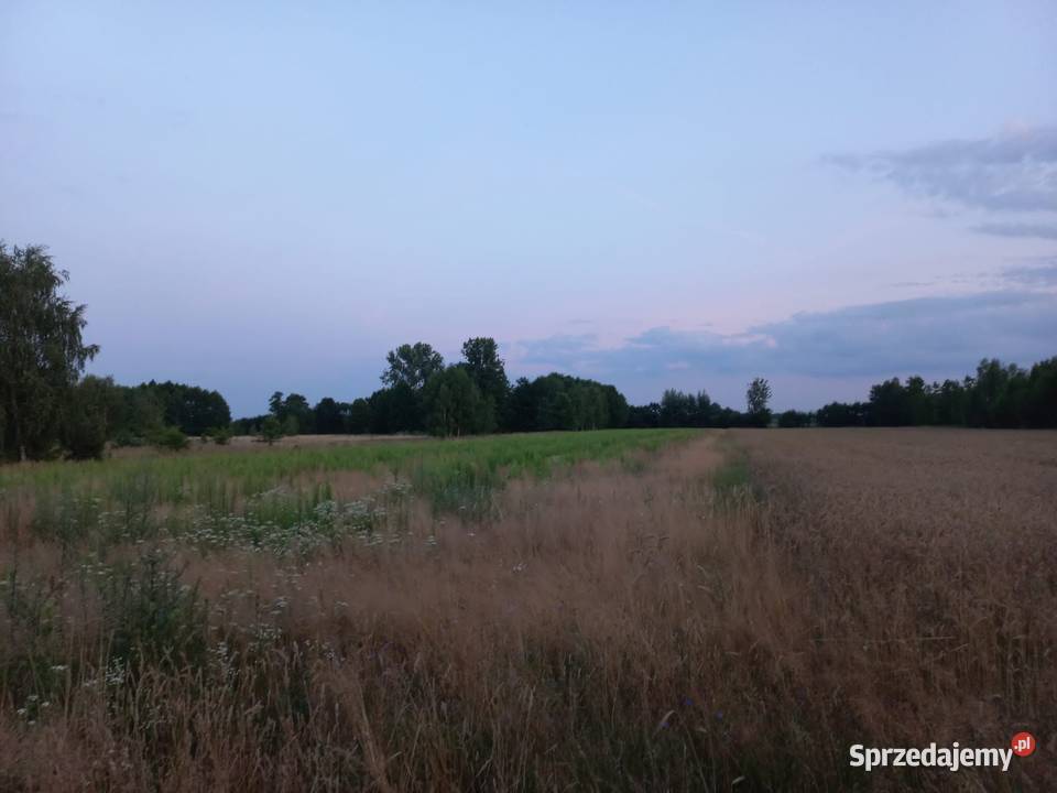 Działka budowlana drodze asfaltowej Pomiary