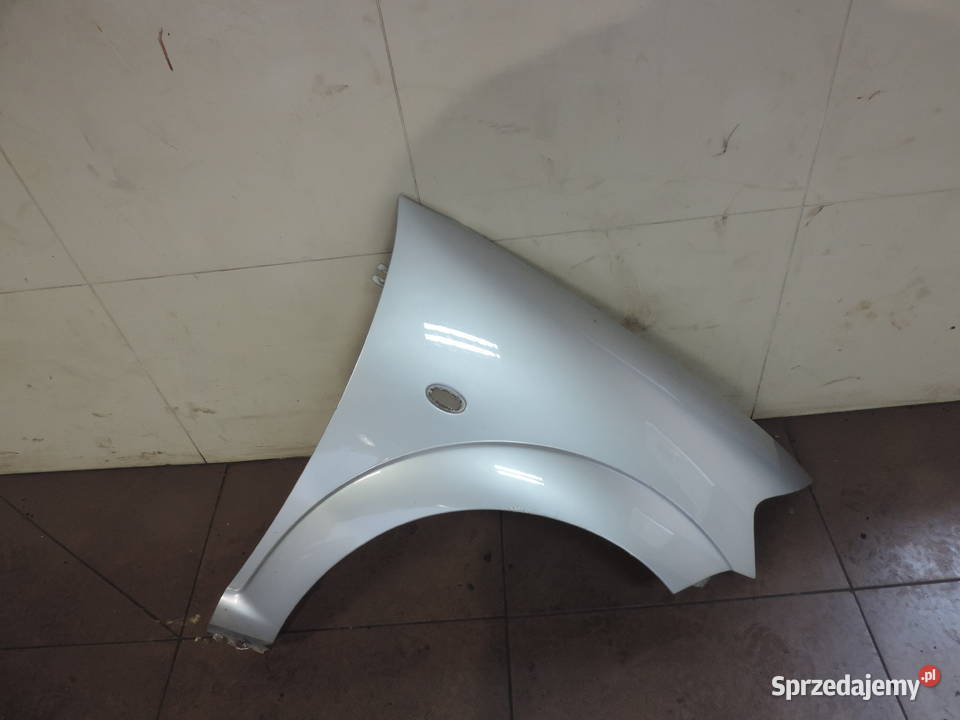 BŁOTNIK PRAWY PRZEDNI CITROEN C3 I FL EZRC Nowy Sącz