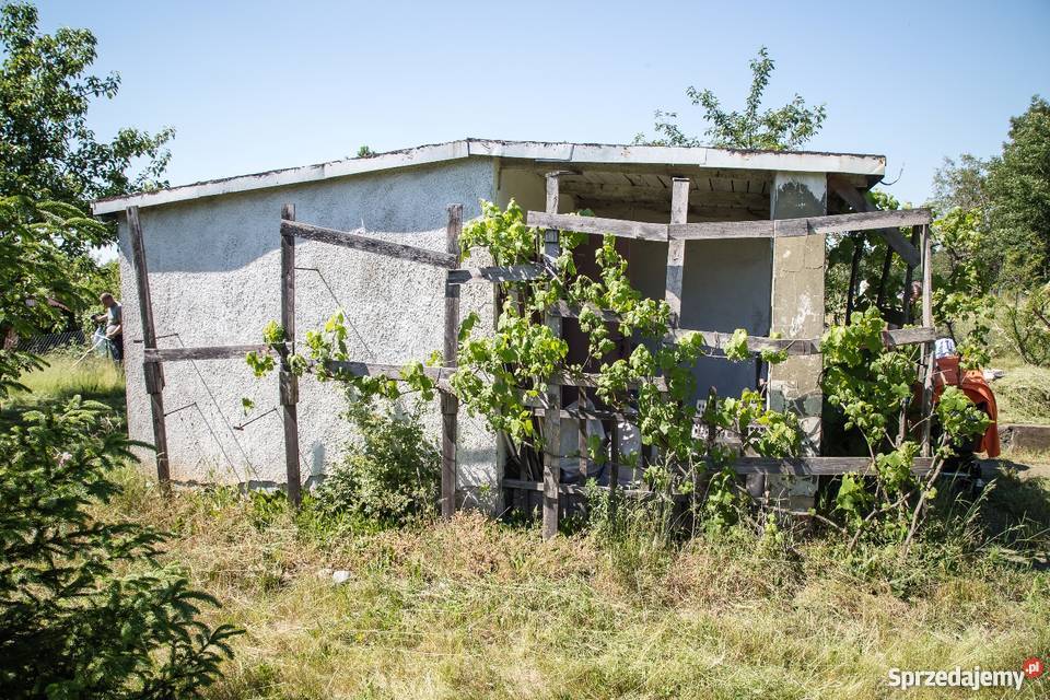 Sprzedam działkę rekreacyjną w Kamieńcu 20m Kamieniec Wrocławski sprzedam
