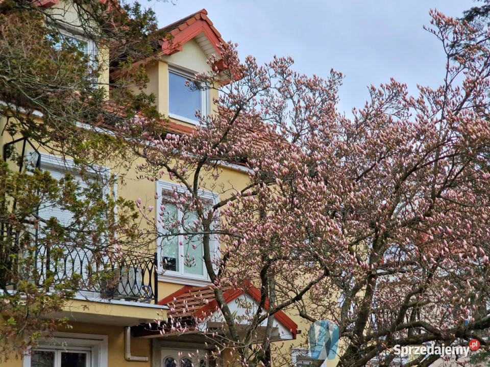 wynajmu lokalu Warszawa 40m2 sprzedam