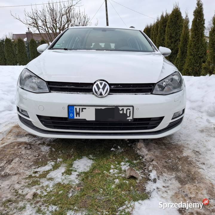 Samochód Golf 7 Bluemotion 12 tsi Prokowo