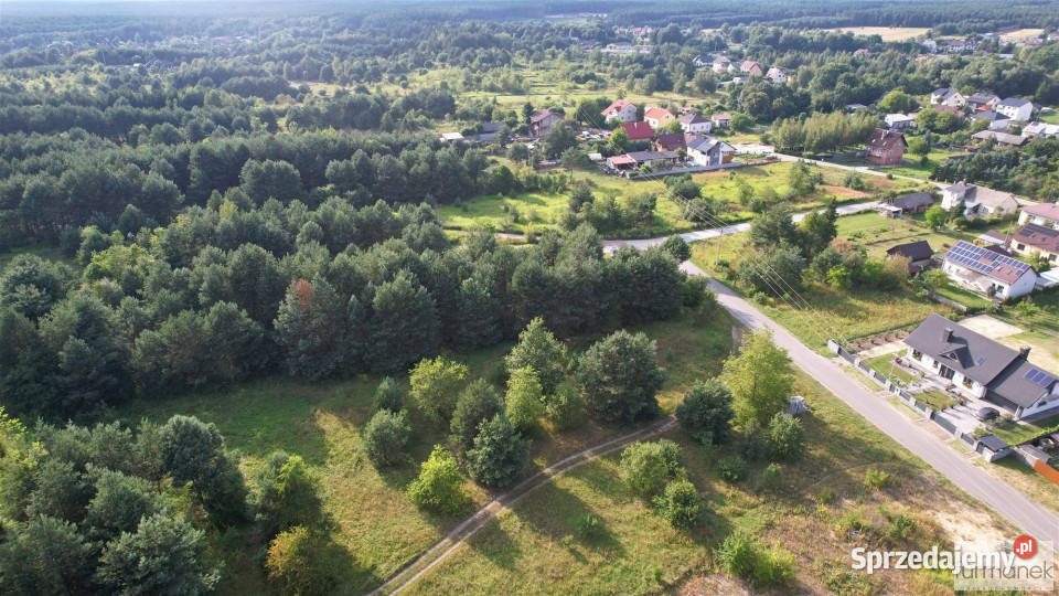 Ogłoszenie działka Józefów 9830m2 lubelskie
