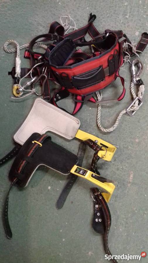 Wypożyczę drzewołazy Dąbrowa Górnicza sprzedam