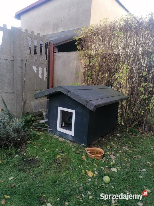 Buda psa ocieplana otwierany dach Nowe Chechło