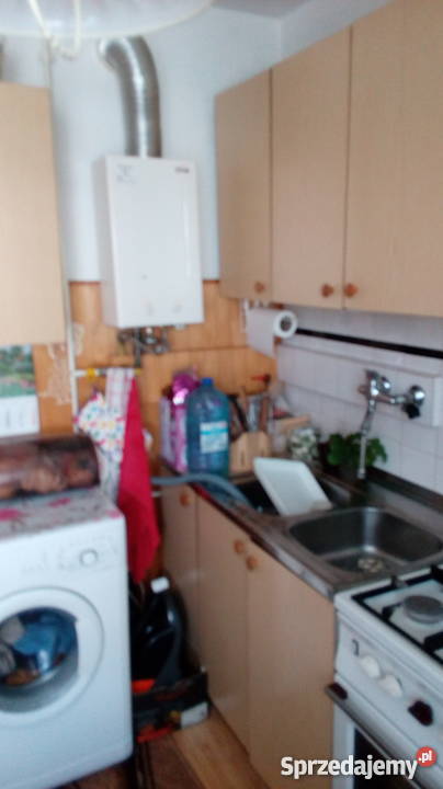 sprzedam mieszkanie Płońsk 455 m2 664374704 sieć