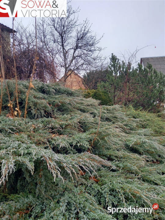 Mieszkanie na wsi Piętro 1 dolnośląskie Pogorzała