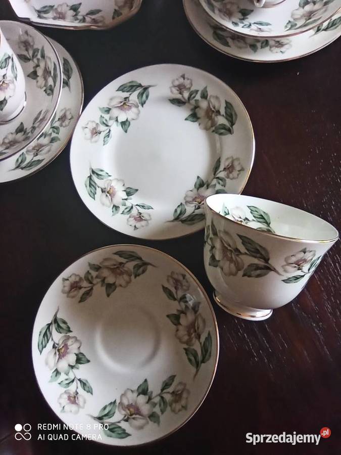 Serwis do herbaty Z kwiatem jabłoniStaffordshire pomorskie