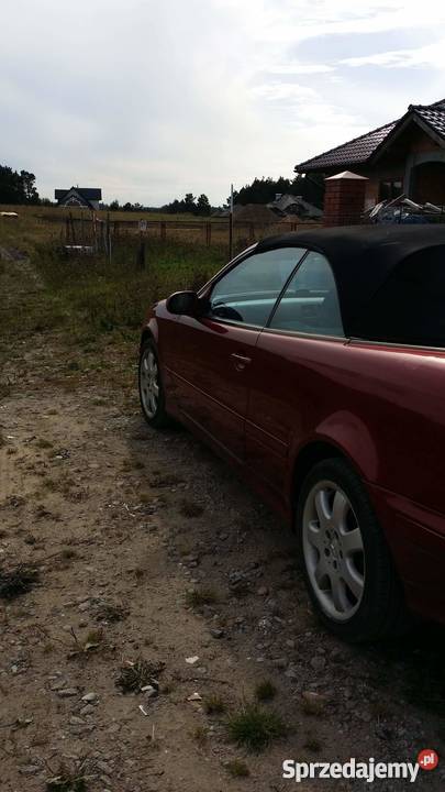 Clk 43 v8 anglik pilnee pomorskie Gowino sprzedam