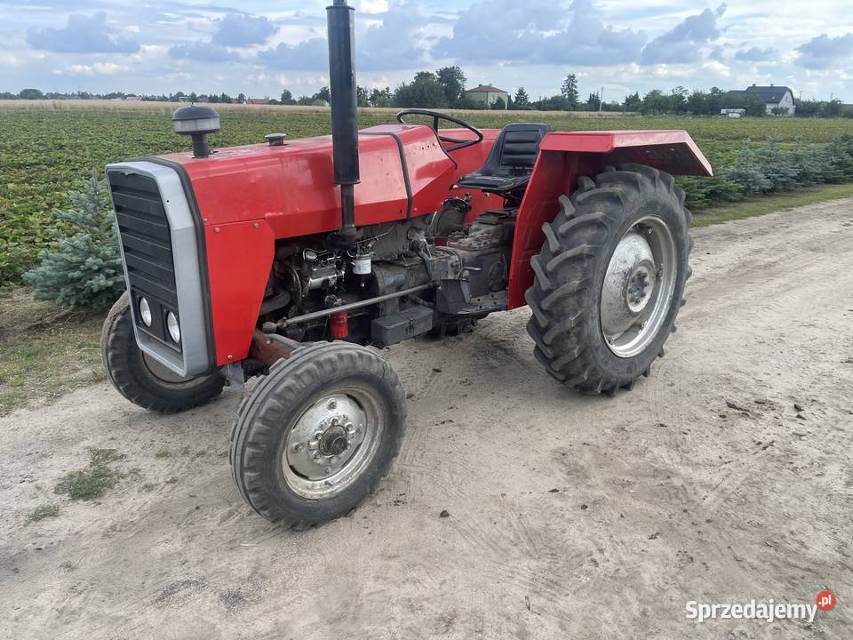 Sprzedam ciągnik Massey Ferguson 245 Gąbin
