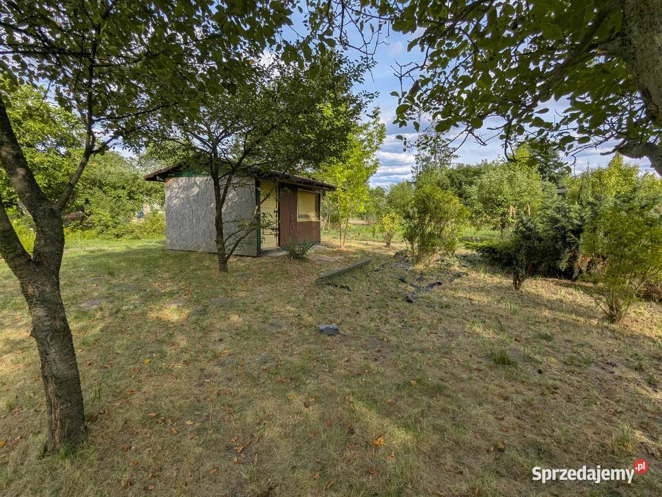 Działka ROD Rekreacyjna Malinka 1 Radom