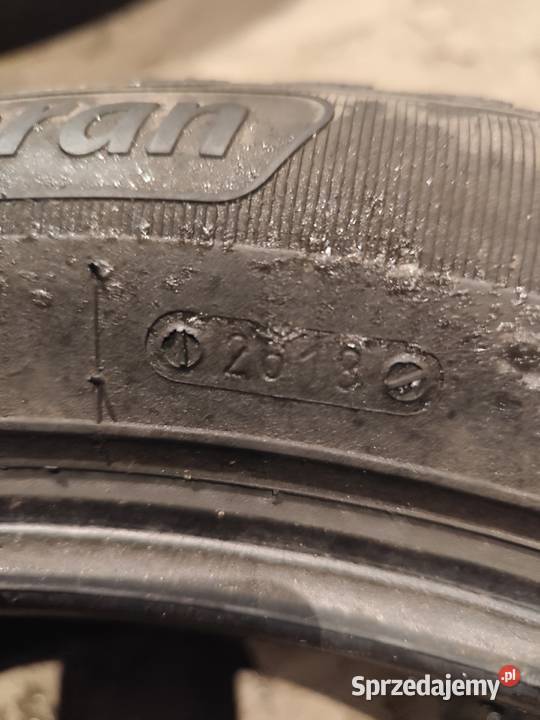 2x 2255517 kormoran snów dot2718 Bielsko-Biała