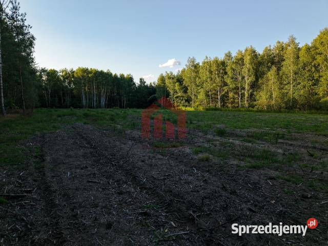 Działka 900m2 Czarna Sędziszowska