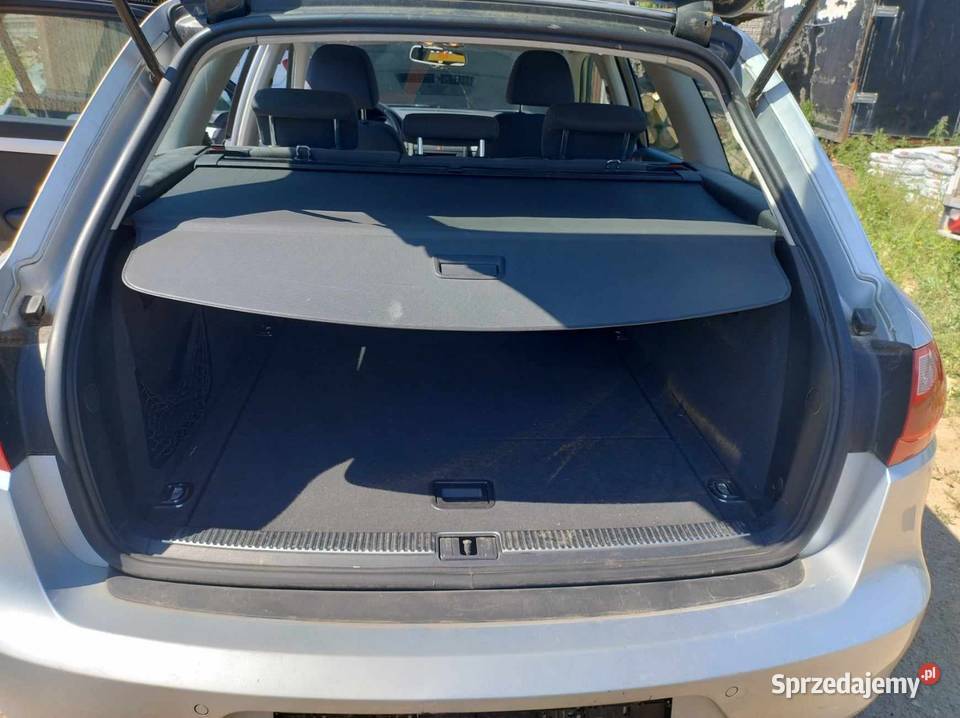 Seat Exeo Konie