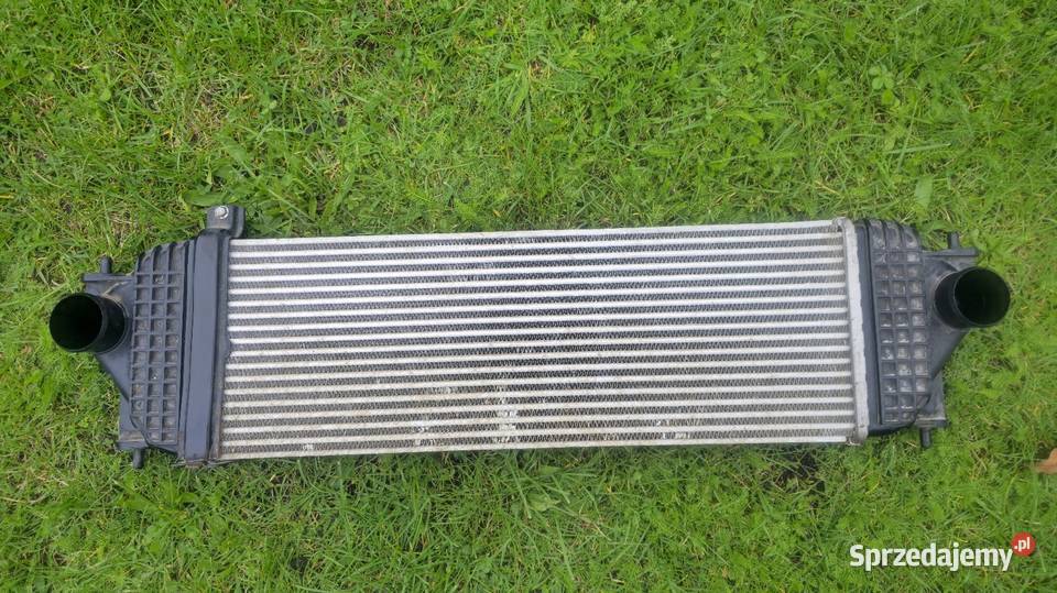 Intercooler 19 ddis Suzuki Grand Vitara 2 osobowe Świdnica