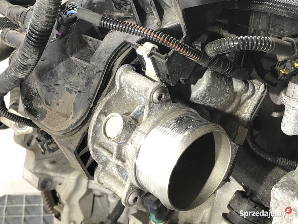 SILNIK KOMPLETNY OPEL 16 181 GRANDLAND osobowe podkarpackie