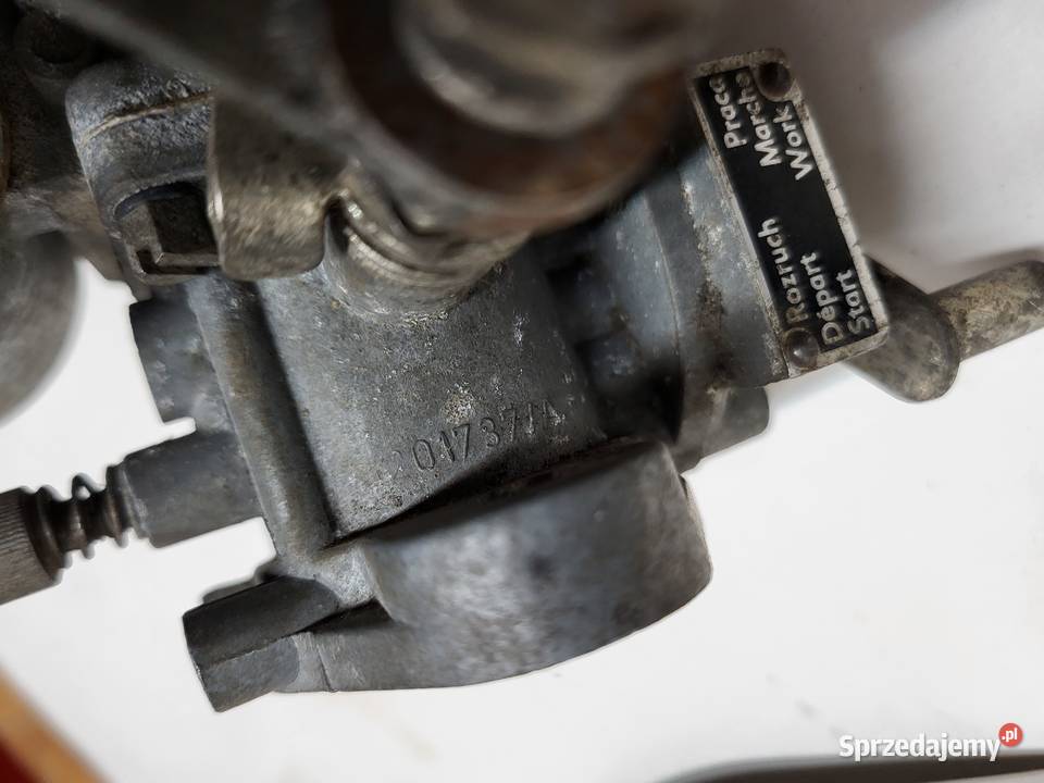 Dzik 2 Dzik 21 fabrycznie nowy gaźnik Ikov 30 sprzedam