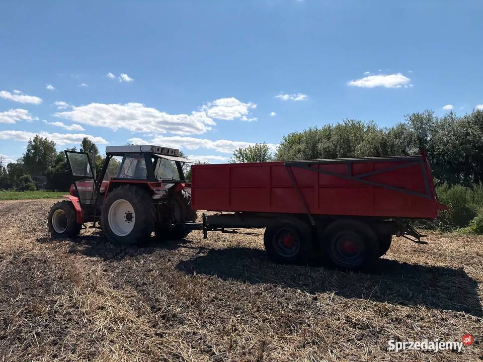 Zetor 8145 Łosice
