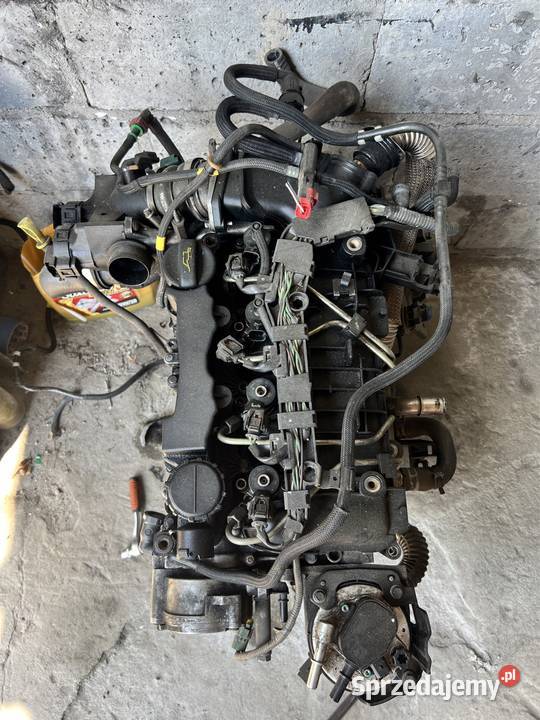 Silnik Mazda 3 16 diesel 109 Pińczów