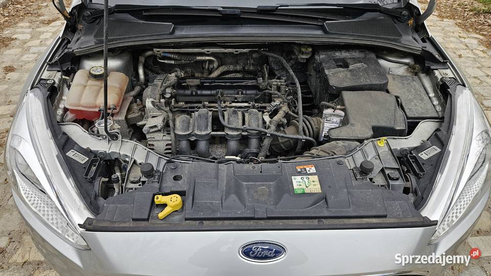 Ford Focus 2016r 16 benzyna 125 salonowy benzyna Wrocław