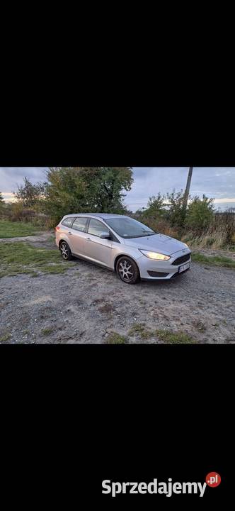 Ford Focus 15 2015r 95 nieuszkodzony Pabianice